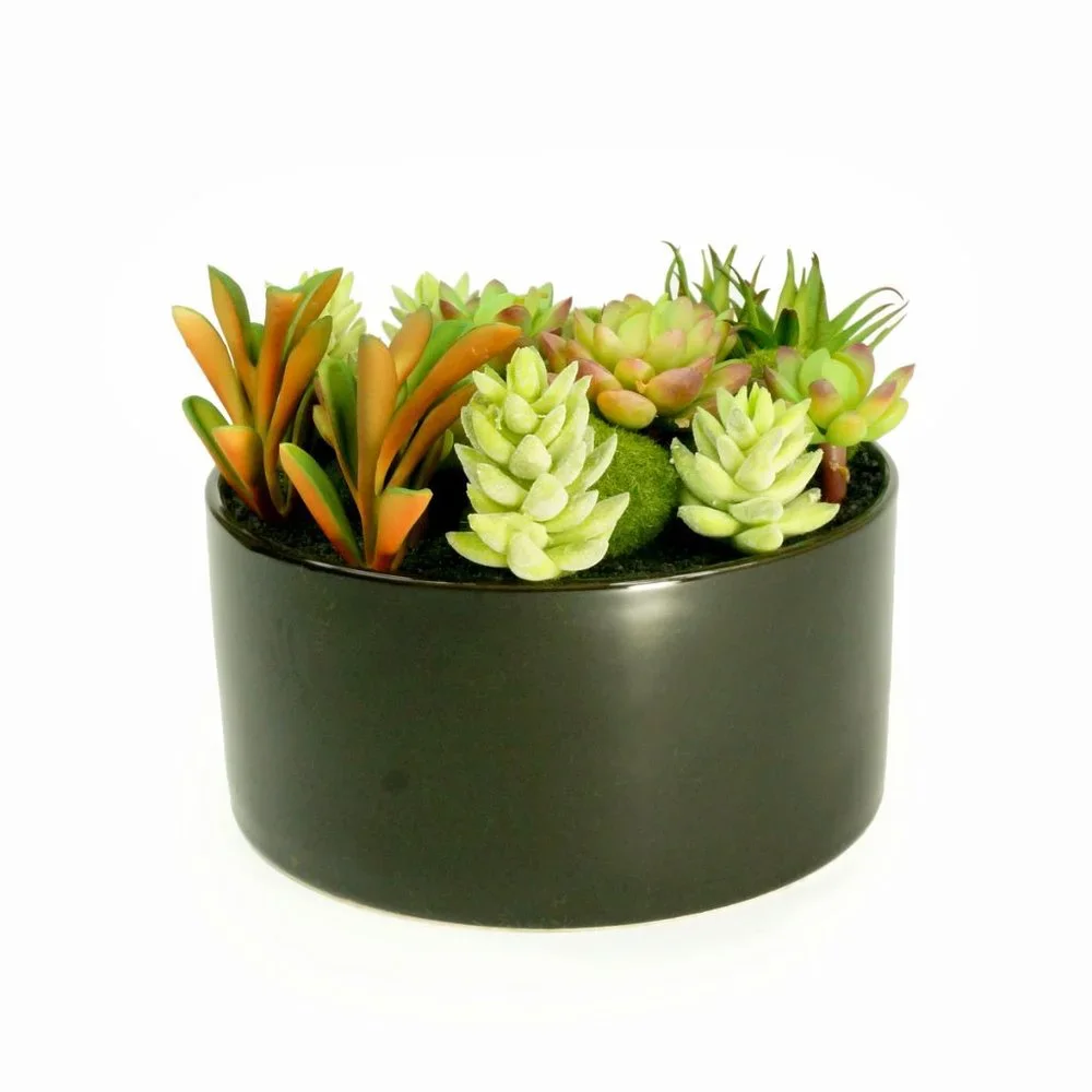 Faux Succulent Planter with Moss Cactus Aloe Vera - Picture 2 of 5